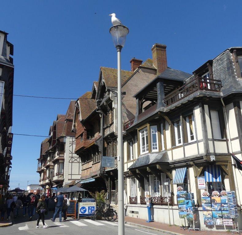 Voyage 2024 :LA SEINE  de HONFLEUR à ÉTRETAT