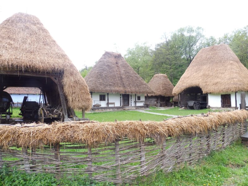 SIBIU parc Astra