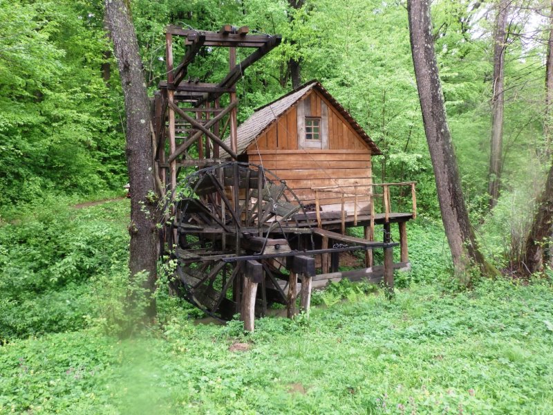 SIBIU parc Astra